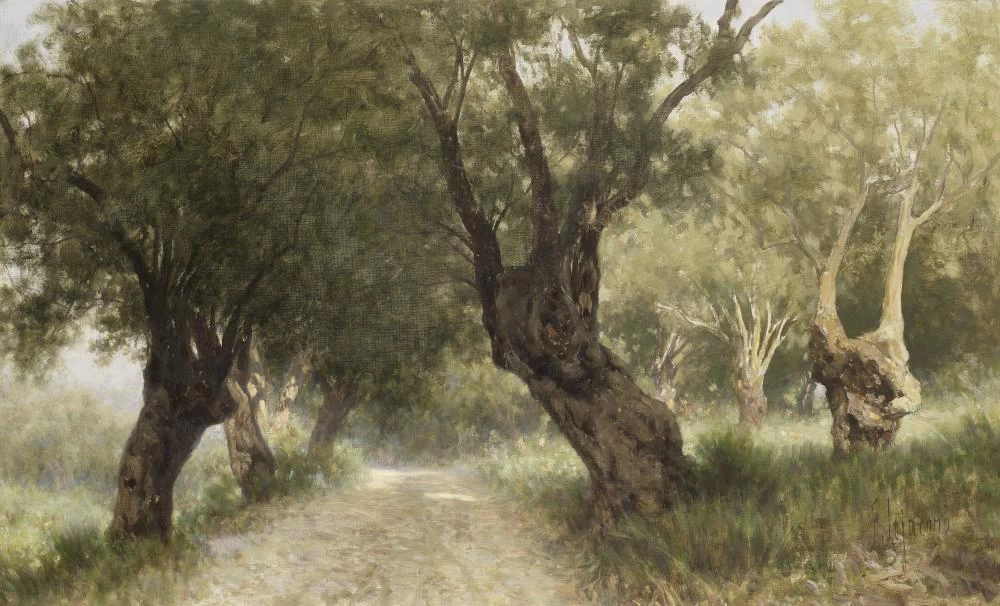 Boschetto soleggiato